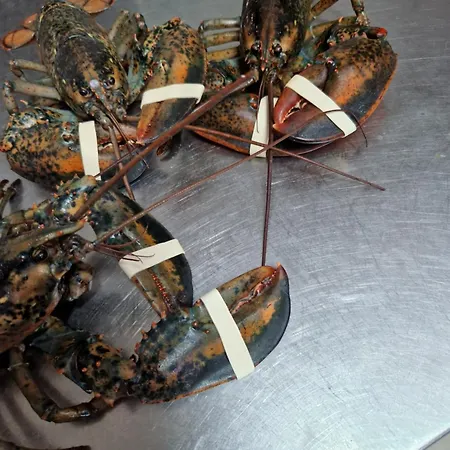 Appart hôtel Perda Rubia